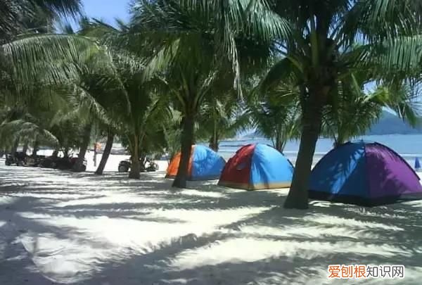 2018年台山上下川岛全年旅游人数 广东省台山市下川岛省钱旅游