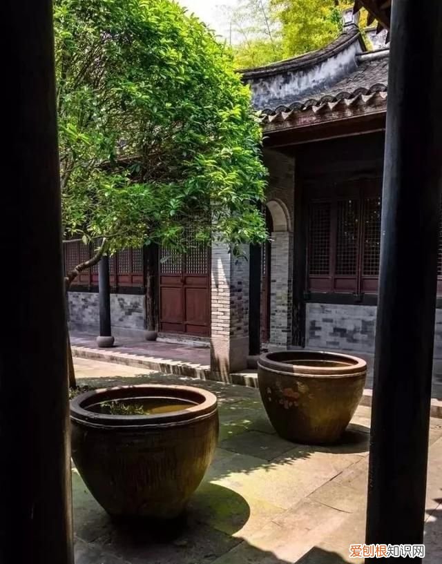 三伏晒背可祛陈年痼疾