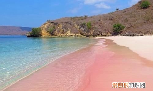 葡萄尼是什么面料,印尼葡萄玛瑙有造假吗