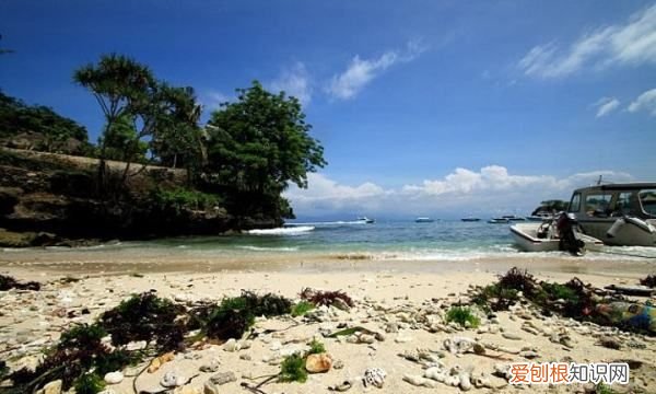 葡萄尼是什么面料,印尼葡萄玛瑙有造假吗