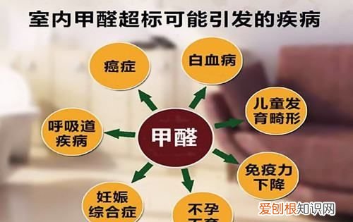 刚装修好的房子入住有什么危害，新装修好的房子住进去有哪些危害