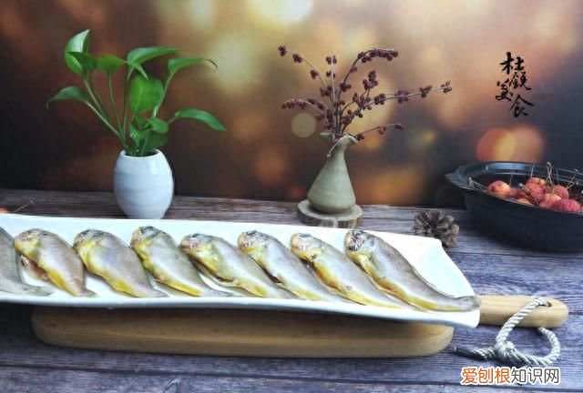 这4种不起眼的廉价海鱼 哪种海鱼最好养又便宜又好吃