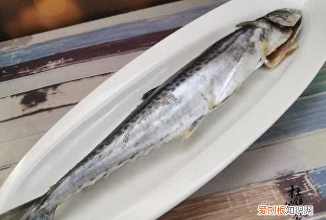 这4种不起眼的廉价海鱼 哪种海鱼最好养又便宜又好吃