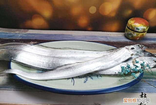 这4种不起眼的廉价海鱼 哪种海鱼最好养又便宜又好吃