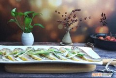 这4种不起眼的廉价海鱼 哪种海鱼最好养又便宜又好吃