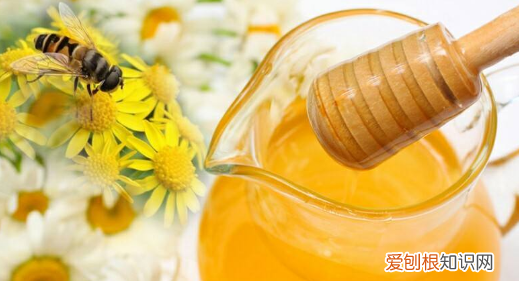 吃什么睡眠质量好，晚上睡眠不好有什么办法可以解决