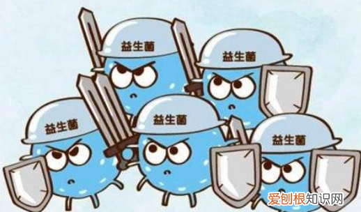 菌种有什么作用有哪些品种，益生菌的种类有哪些?,要求全面一点