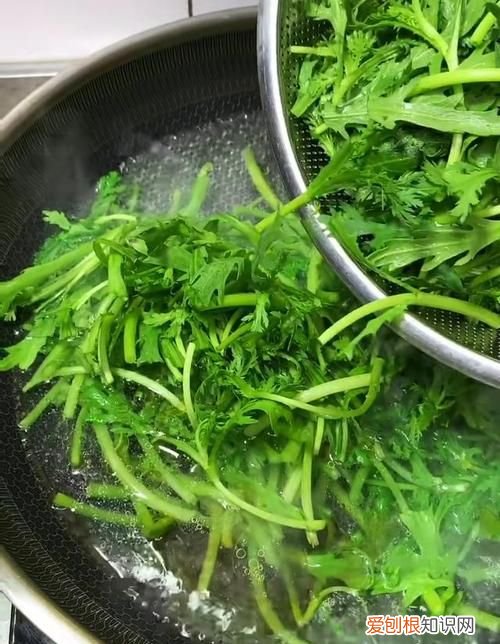 茼蒿做饺子馅用焯水，茼蒿菜包饺子用不用焯水