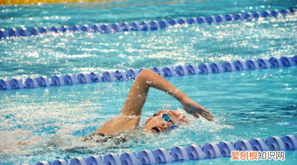 做游泳教练都需要什么资质，游泳教练和救生员需要什么证书