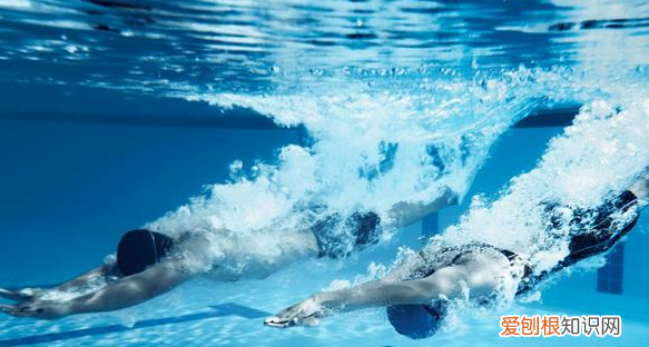 做游泳教练都需要什么资质，游泳教练和救生员需要什么证书