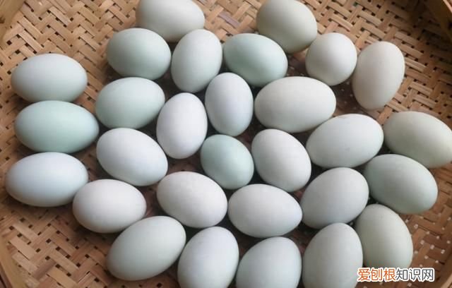 腌咸鸭蛋怎么腌能出油 正确腌咸鸭蛋的方法