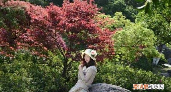 如何用ps把人物P掉，ps怎么把墨镜里的人p掉