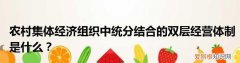 请问统分结合是什么意思，农村基本经营制度统分结合是什么