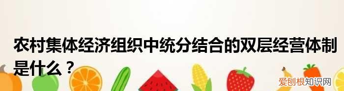 请问统分结合是什么意思，农村基本经营制度统分结合是什么