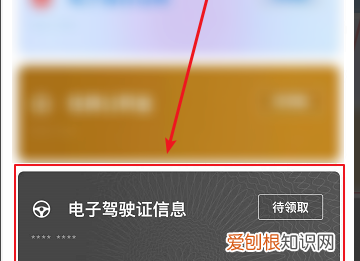 怎么查自己的驾照照片,交管12123怎么看行驶证照片