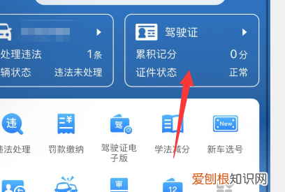 怎么查自己的驾照照片,交管12123怎么看行驶证照片