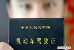 怎么查自己的驾照照片，交管12123怎么看行驶证照片