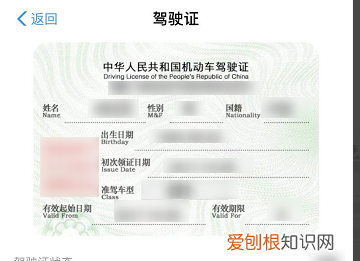 怎么查自己的驾照照片,交管12123怎么看行驶证照片