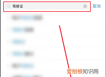 怎么查自己的驾照照片,交管12123怎么看行驶证照片