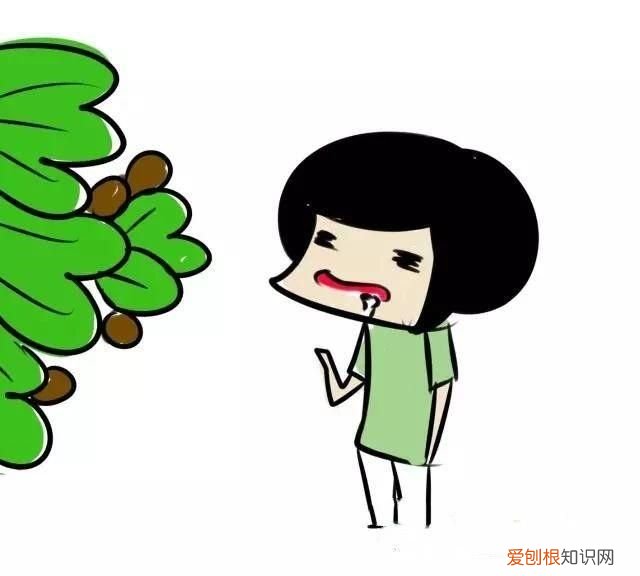 山东威海为什么是鲁k,威海为什么是鲁k