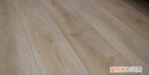 石头每年新品,石头扫拖一体哪个型号性价比高