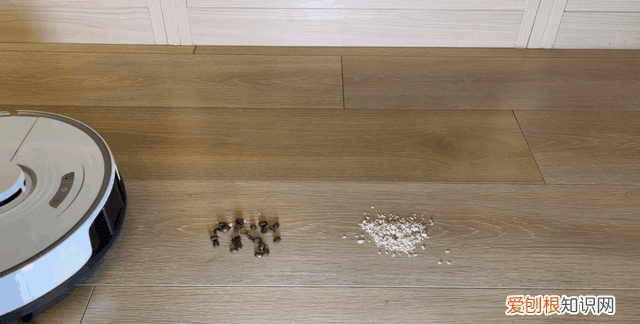 石头每年新品,石头扫拖一体哪个型号性价比高