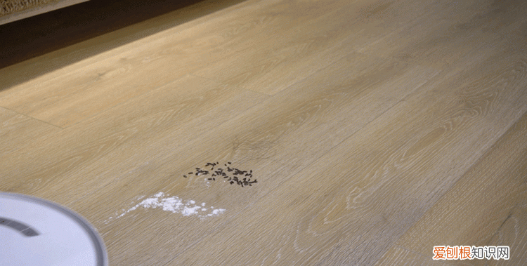 石头每年新品,石头扫拖一体哪个型号性价比高