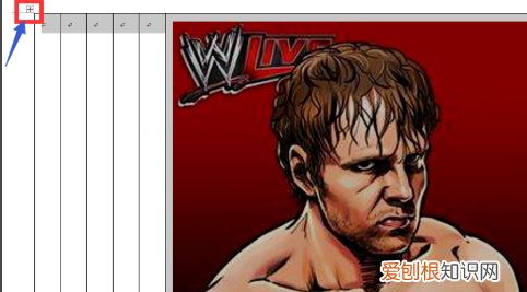 如何让铺满word表格,word文档怎么填满每一页
