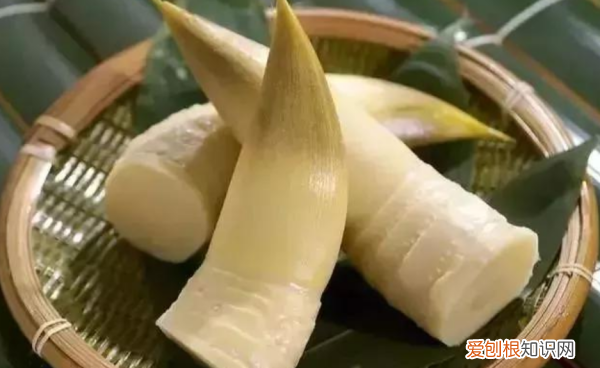 春笋和竹笋有什么区别,冬笋春笋毛笋的区别是什么