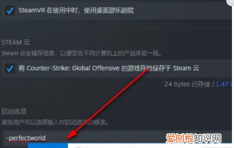 csgo国服登录器在哪里,steamcsgo怎么设置国服启动