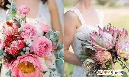 破产姐妹max扔捧花是哪一集，破产姐妹麦克斯结婚在哪一集