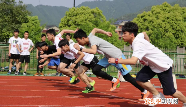 初三怎么考音乐特长生，中考艺术特长生怎么考能宁波