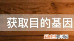 目的基因的获取方法3种，获取目的基因的两大途径是什么