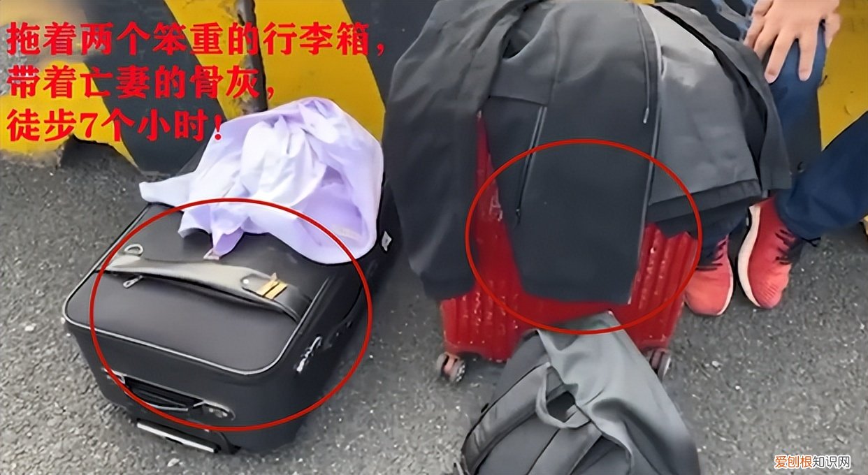 上海一男子带亡妻骨灰徒步7小时到高铁站，