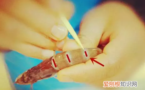 怎样才能快速去虾线，怎么挑虾线 这样挑最干净