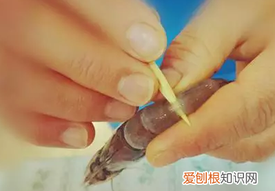 怎样才能快速去虾线，怎么挑虾线 这样挑最干净
