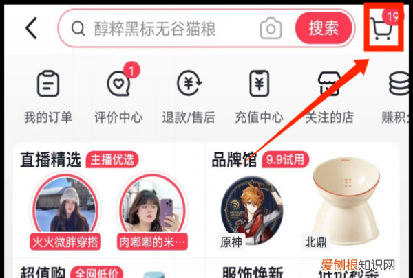 抖音极速版购物车在哪,抖音极速版有购物车功能吗