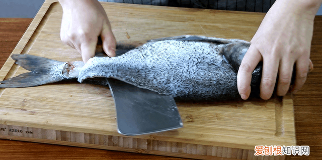 鲢鱼这样做超级好吃你学会了吗