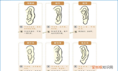 什么样的耳垂最富贵，有耳垂和没耳垂有什么区别