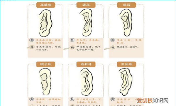 什么样的耳垂最富贵，有耳垂和没耳垂有什么区别