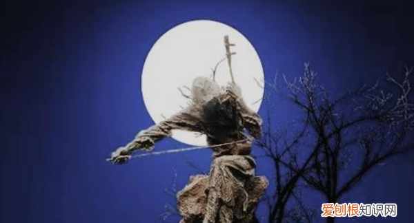 高胡是拉弦乐器，京胡,板胡,二胡,高胡,中胡的区别