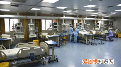 游离t3和t4的区别，游离t3是什么意思