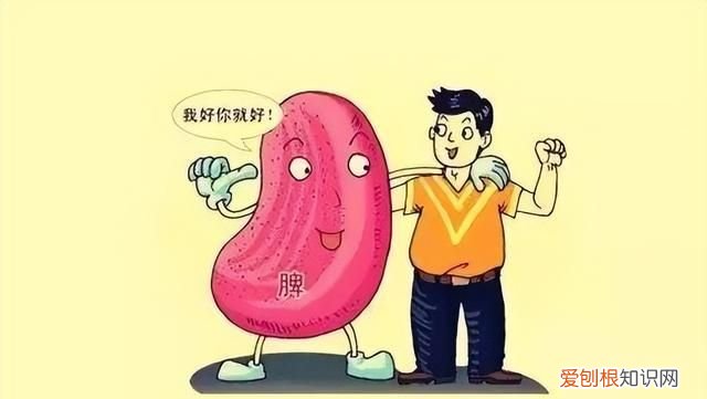 吃东西没有味道是什么原因,嘴里没有味道是什么原因造成的