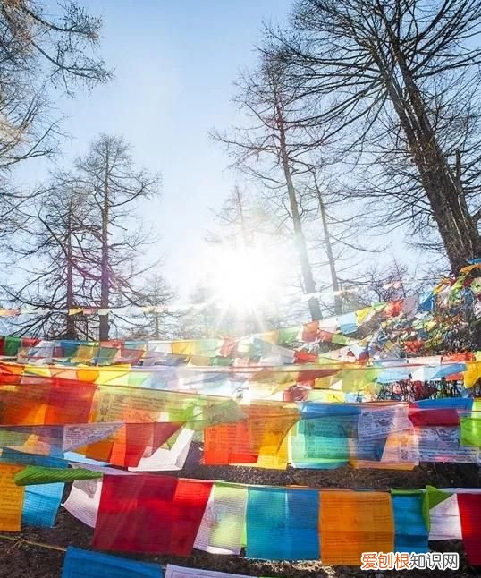 稻城亚丁一个无限接近天堂的地方