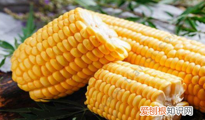 煮嫩玉米需要多少时间，煮嫩玉米需要多长时间