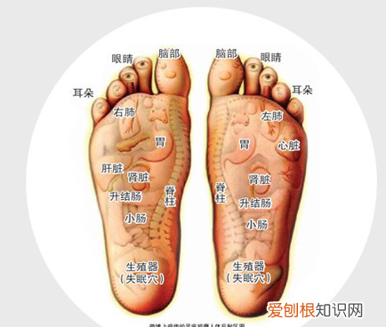 哪些人群不适应艾草泡脚正确方法