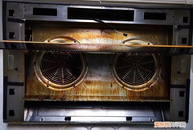 油烟机的油可以浇花,抽油烟机里滤出的油是否可以当做养花的肥料