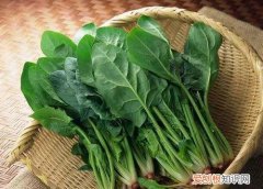 如何焯出翠绿的菠菜，菠菜怎么焯水 菠菜如何焯水