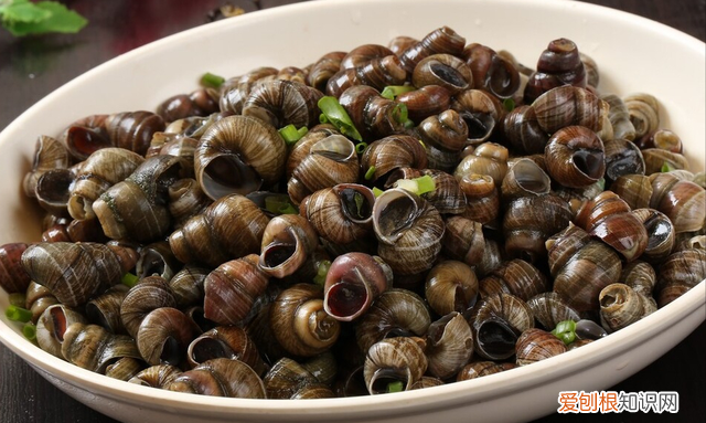 洗田螺的吐沙正确方法