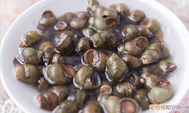 洗田螺的吐沙正确方法